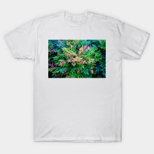 Esther Short Park Study 2 T-Shirt